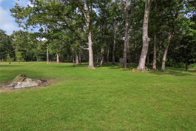 79 E Pine Dr, Huffman, TX 77336 - view of green lawn