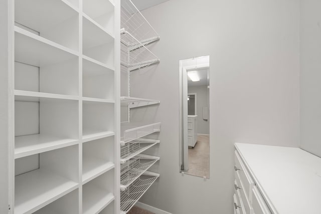 10139 Knoboak Dr, Houston, TX 77080 - view of pantry