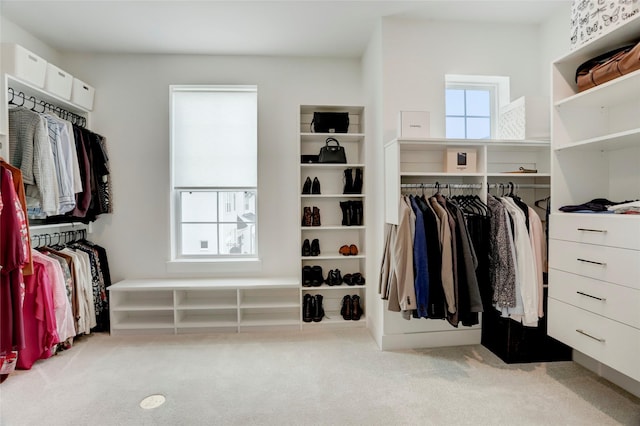 3124 Somerset Levens Ln, Houston, TX 77055 - spacious closet featuring carpet flooring