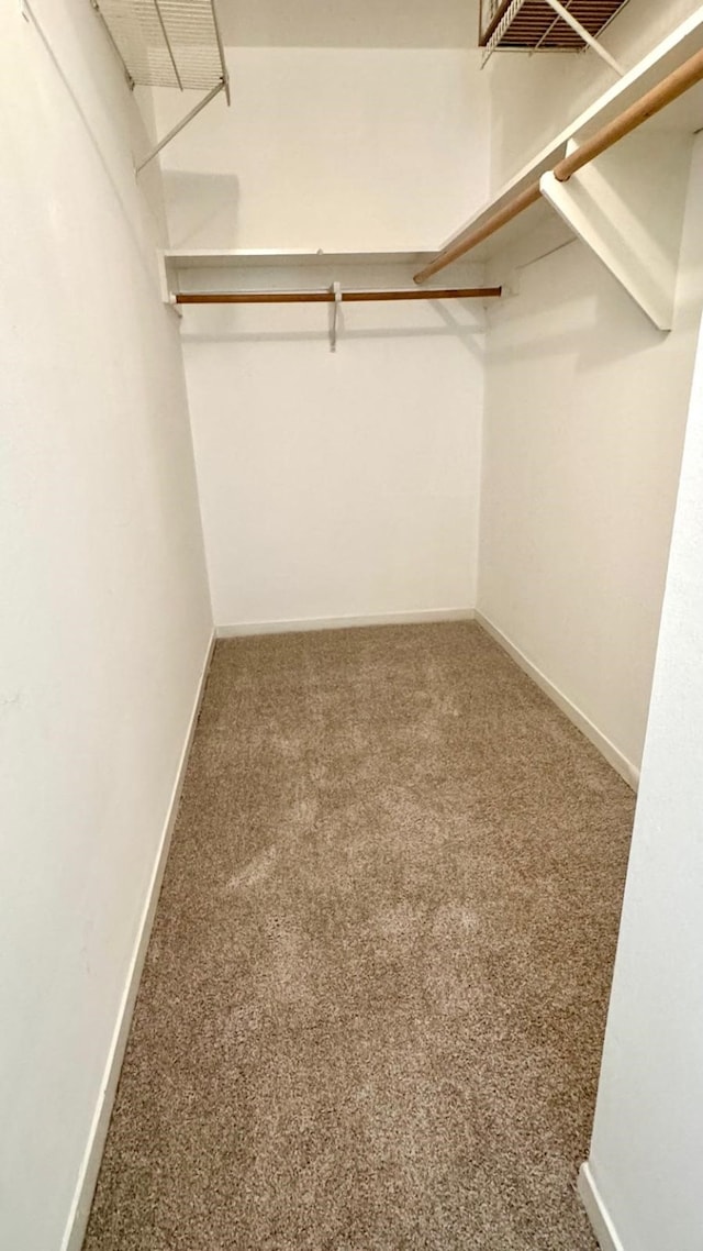 9005 Gaylord St Unit 20, Houston, TX 77024 - walk in closet with carpet floors