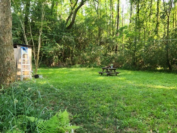 3406 N Winfree, Dayton, TX 77535 - view of green lawn with a forest view