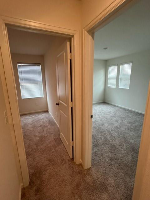 21596 Rolling Streams Dr, New Caney, TX 77357 - hallway featuring carpet floors and baseboards