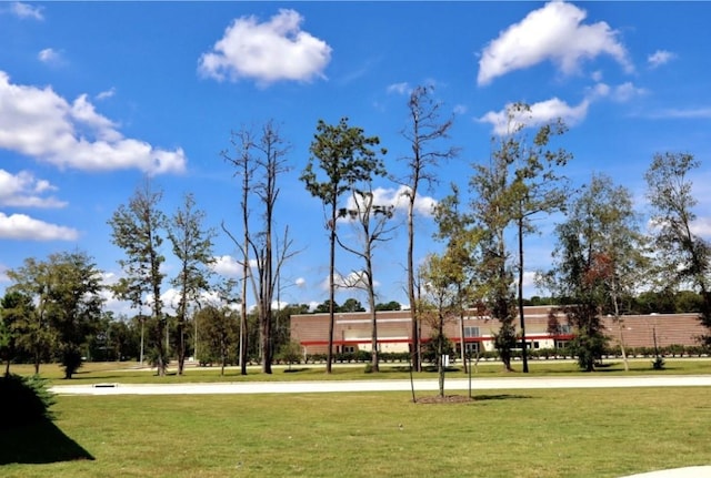 21596 Rolling Streams Dr, New Caney, TX 77357 - view of home's community with a yard