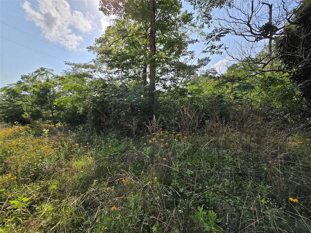TBD Margie Dr, Livingston, TX 77351