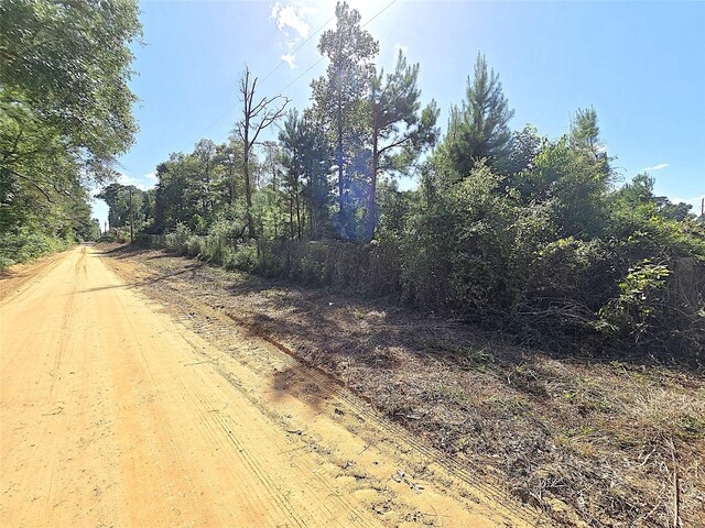TBD Margie Dr, Livingston, TX 77351 - photo 3