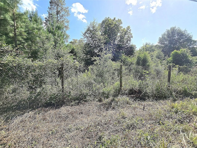 TBD Margie Dr, Livingston, TX 77351 - photo 5