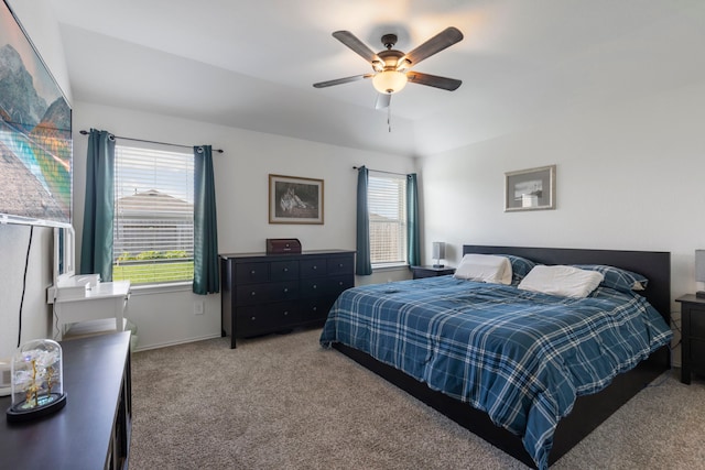 21623 Oakwood Meadows Ln, Katy, TX 77449 - bedroom featuring carpet floors, multiple windows, ceiling fan, and baseboards