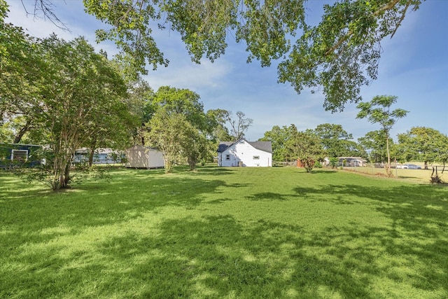 813 Nelson St, Sealy, TX 77474 - view of grassy yard