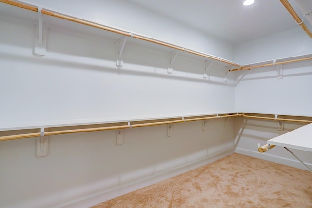 813 Nelson St, Sealy, TX 77474 - walk in closet with carpet floors