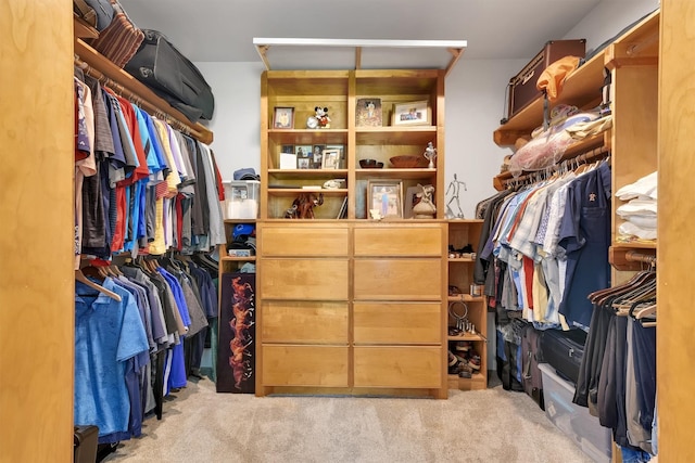 19727 Country Lake Dr, Magnolia, TX 77355 - spacious closet featuring carpet floors