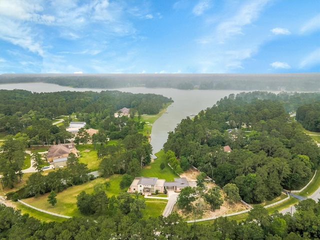 19727 Country Lake Dr, Magnolia, TX 77355 - aerial view of property's location featuring a large body of water and a heavily wooded area