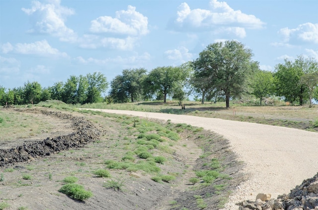 LOT4 Jozwiak Rd, Chappell Hill, TX 77426