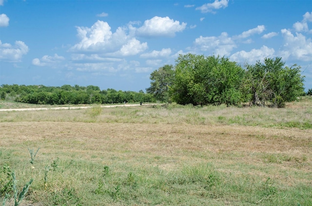 LOT4 Jozwiak Rd, Chappell Hill, TX 77426