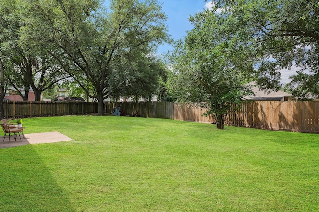 10255 Crooks Way Ct, Houston, TX 77065 - view of yard with a patio area
