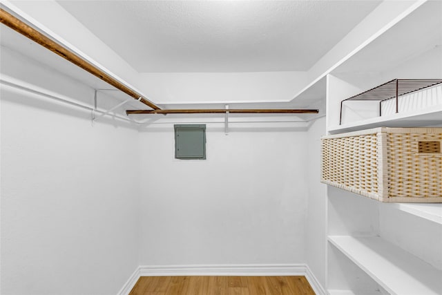3220 69th St Unit K6, Galveston, TX 77551 - walk in closet with wood finished floors and electric panel