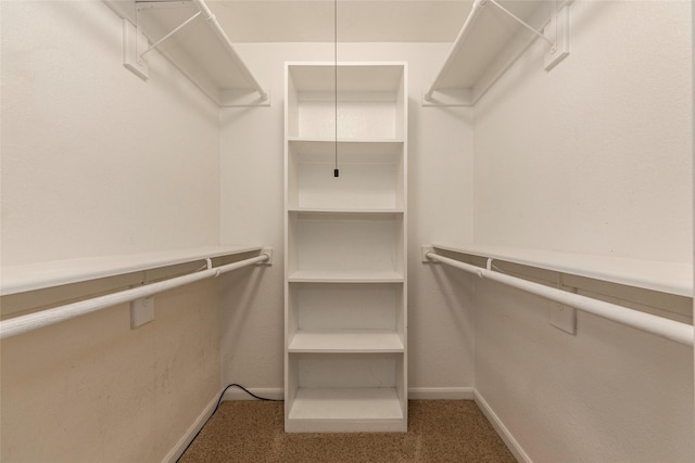 1705 Bimini Way, Seabrook, TX 77586 - spacious closet featuring carpet flooring