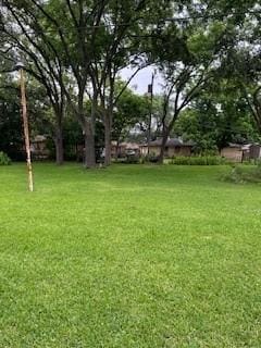 5005 Oak Ln, Texas City, TX 77591 - view of grassy yard