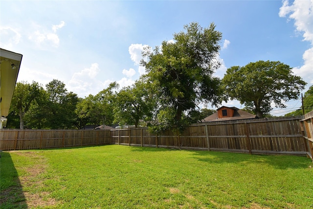 1202 Fort St, Richmond, TX 77469 - view of yard