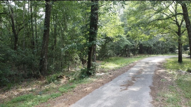 00000 Sunset Dr, Hockley, TX 77447