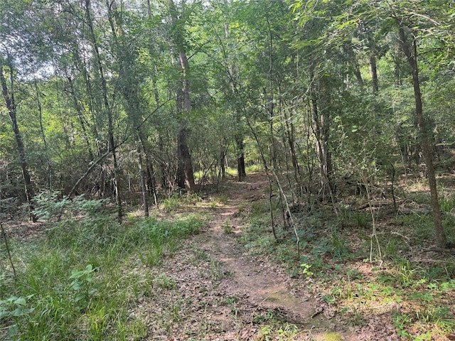 00000 Sunset Dr, Hockley, TX 77447