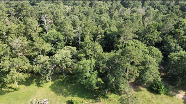 00000 Sunset Dr, Hockley, TX 77447
