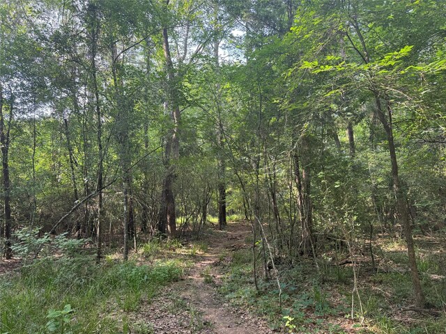00000 Sunset Dr, Hockley, TX 77447