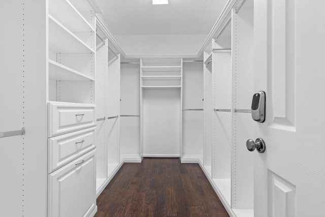 walk in closet featuring dark wood-type flooring
