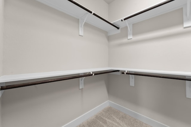 18423 Windy Knoll Way, Houston, TX 77084 - spacious closet with carpet floors