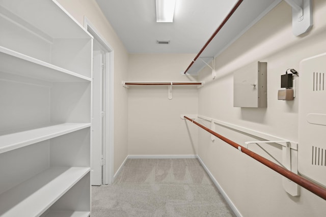 1910 Edenfield Ln, Sugar Land, TX 77479 - walk in closet with light carpet
