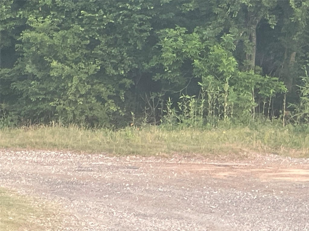 0 Chinquapin Ln, New Caney, TX 77357