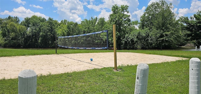 11378 Underwood St, Willis, TX 77318 - surrounding community with volleyball court and a lawn