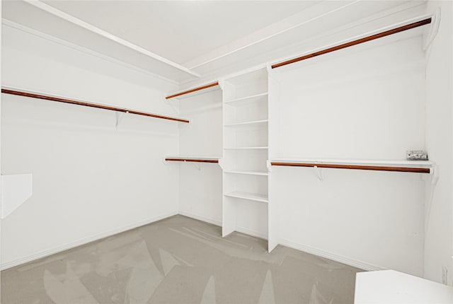 16506 Emilia Ct, Spring, TX 77379 - walk in closet with light carpet