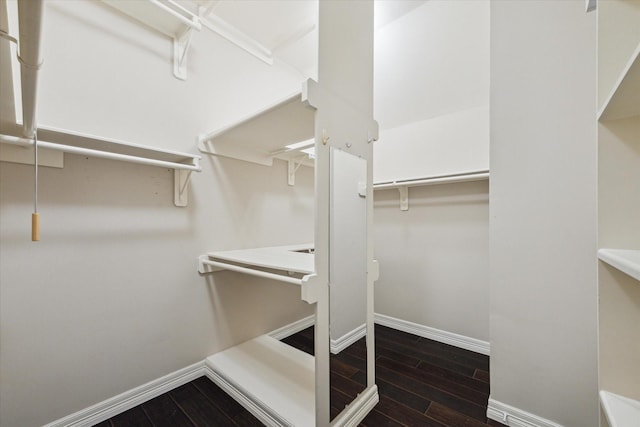 1044 Cayman Bend Ln, League City, TX 77573 - walk in closet featuring wood finished floors