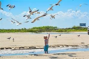 124 Ocean Sand Dr, Crystal Beach, TX 77650