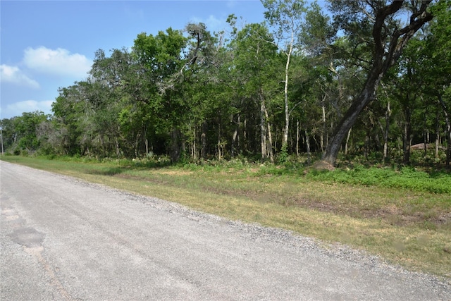 0000 County Road 802, Brazoria, TX 77422