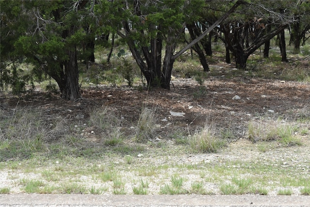 LOT200 Harbor Town Dr, Graford, TX 76449 - photo 1
