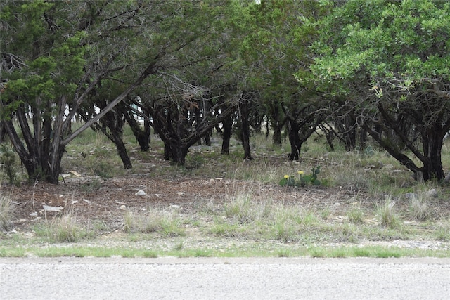LOT200 Harbor Town Dr, Graford, TX 76449 - photo 2