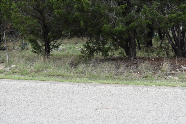 LOT200 Harbor Town Dr, Graford, TX 76449 - photo 3