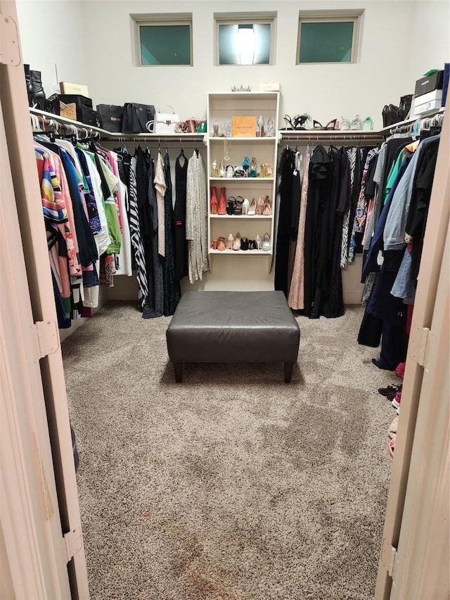 4723 Abercorn St, Rosharon, TX 77583 - spacious closet with carpet flooring
