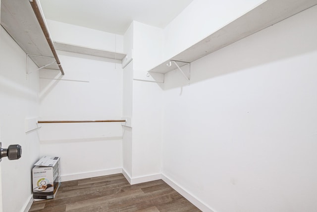 102 Banyan St, Lake Jackson, TX 77566 - walk in closet with wood finished floors