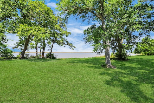 3428 S Main St, Anahuac, TX 77514 - view of grassy yard