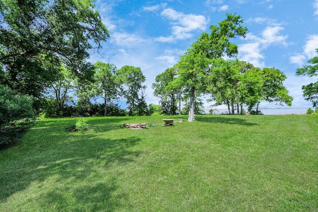 3428 S Main St, Anahuac, TX 77514 - view of grassy yard