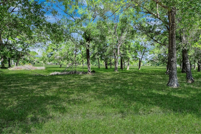 3428 S Main St, Anahuac, TX 77514 - view of grassy yard