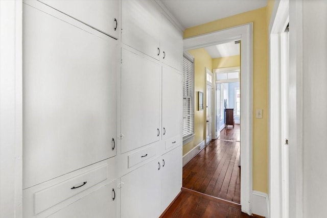 1427 Winnie St, Galveston, TX 77550 - hallway with dark wood-style flooring and baseboards