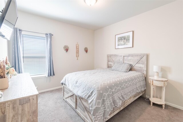 26019 Babe Ruth Dr, Splendora, TX 77372 - bedroom with carpet flooring and baseboards