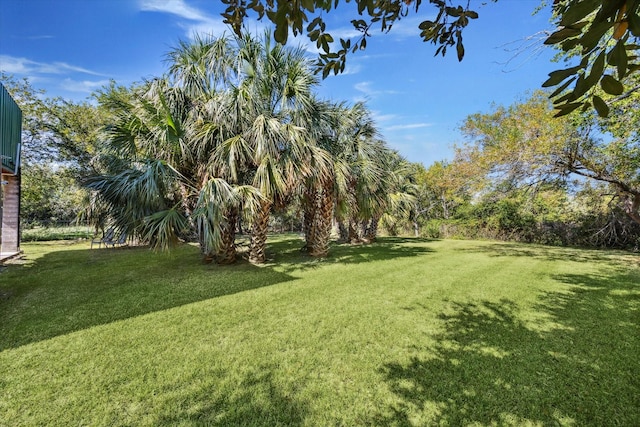 1350 23rd St, San Leon, TX 77539 - view of grassy yard