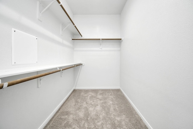 3309 Shelby Cir, Houston, TX 77051 - walk in closet with carpet