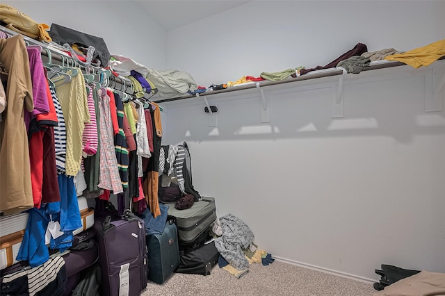 40434 Basalt Elm Rd, Magnolia, TX 77354 - spacious closet with carpet flooring