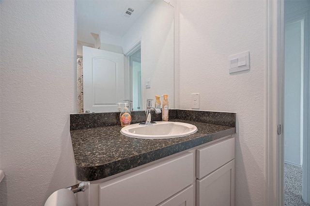40434 Basalt Elm Rd, Magnolia, TX 77354 - bathroom with a textured wall, vanity, and toilet