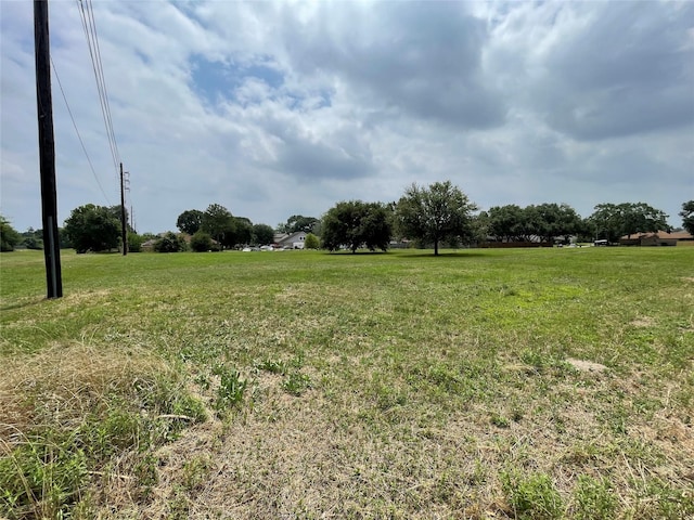 6222 Downwood Forest Dr, Houston, TX 77088